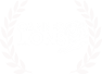 Cannes LIONS